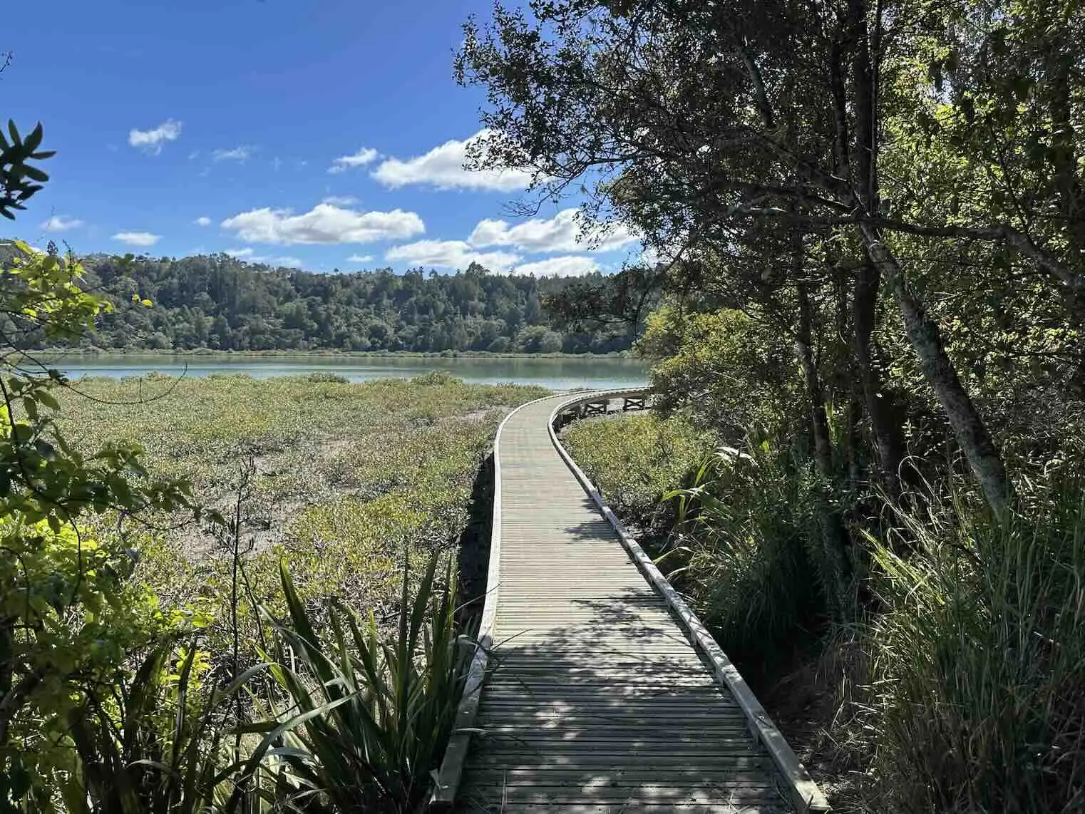 Boardwalk